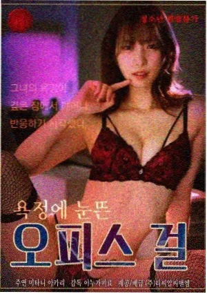 重组家庭题材观察